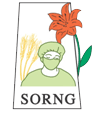SORNG Logo