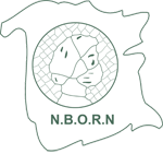 NBORN Logo